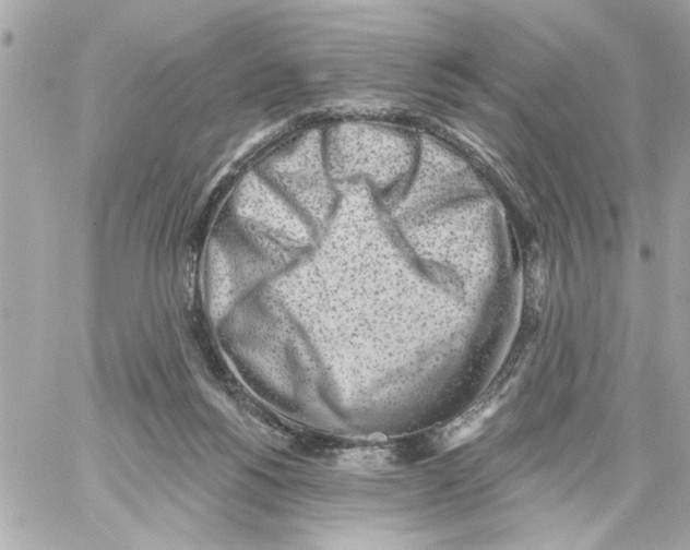 X0000059060168200511041738