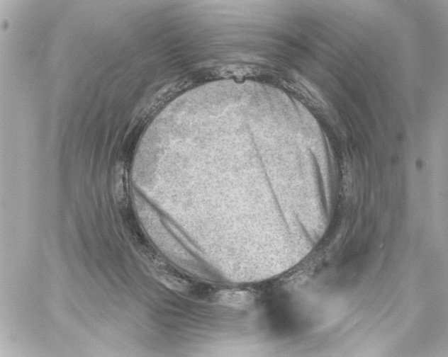 X0000059060169200511041738