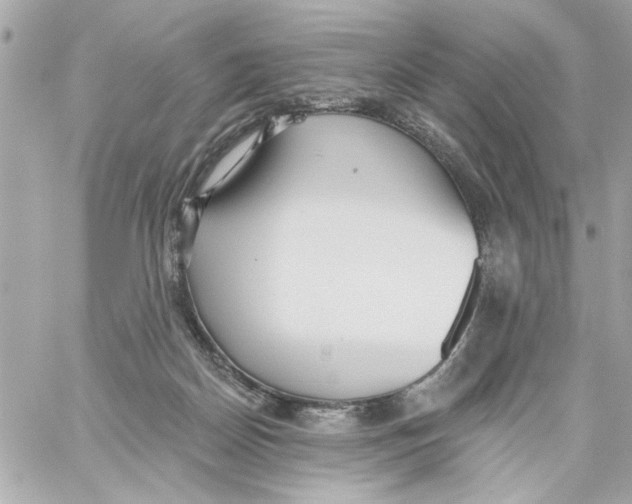 X0000059060170200511041738