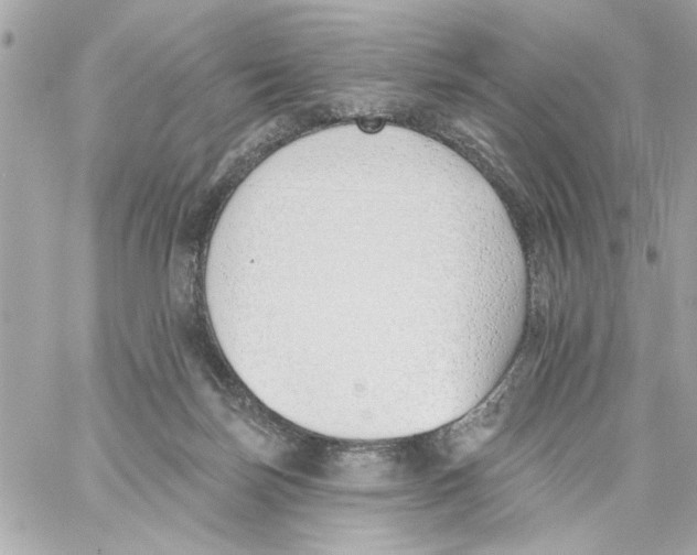 X0000059060171200511041738