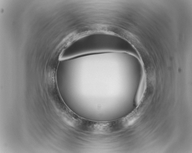 X0000059060172200511041738