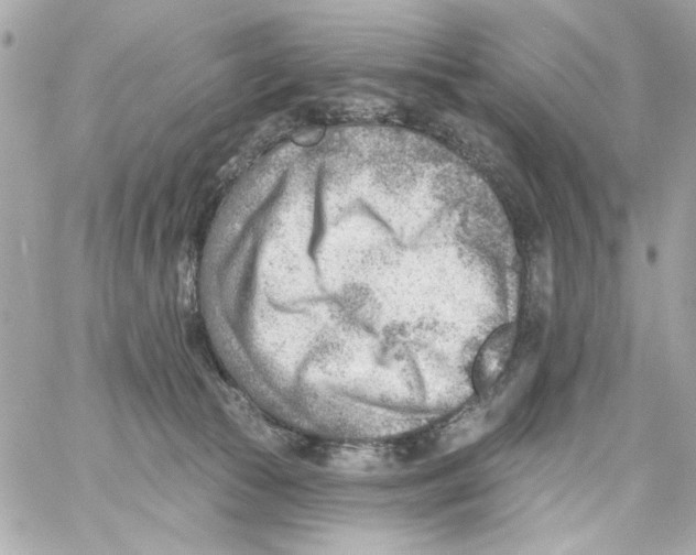 X0000059060177200511041738