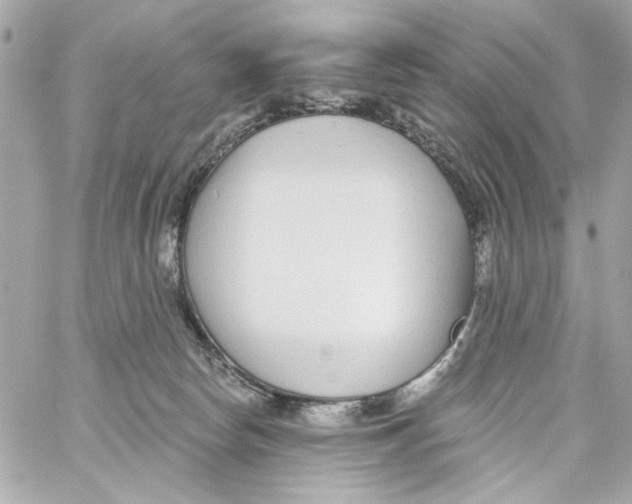 X0000059060178200511041738