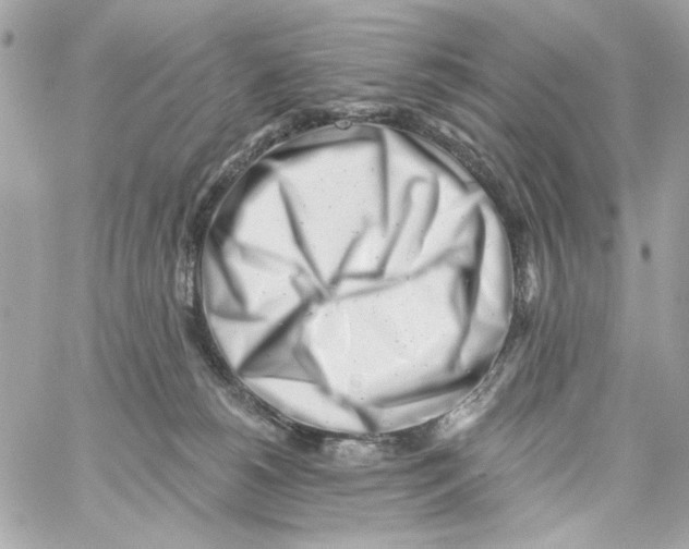 X0000059060180200511041738