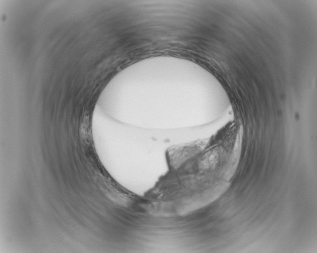 X0000059060181200511041738