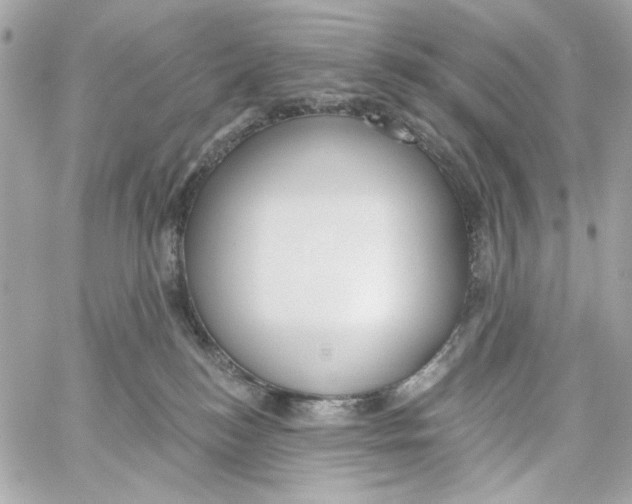 X0000059060184200511041738