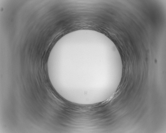 X0000059060188200511041738