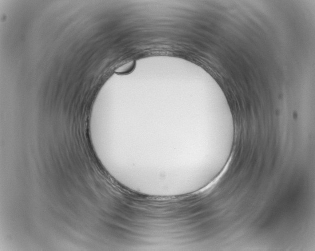 X0000059060190200511041738