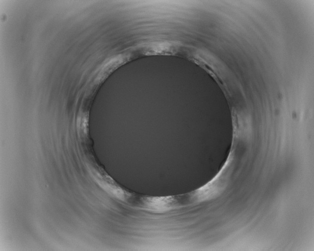 X0000059060191200511041738