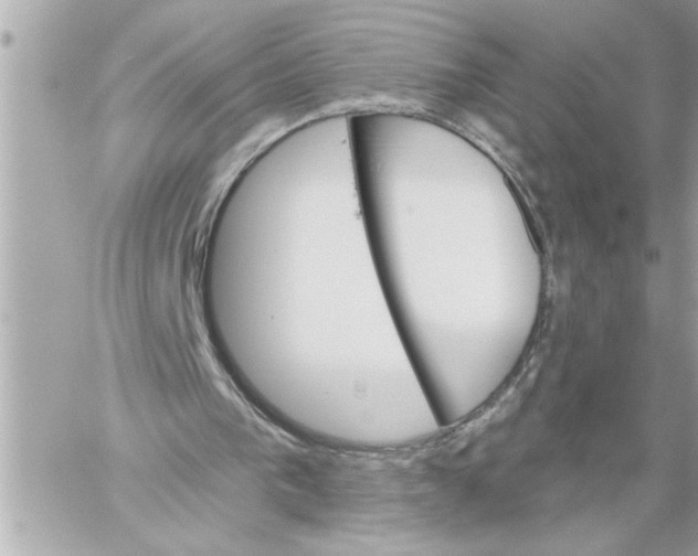 X0000059060193200511041737