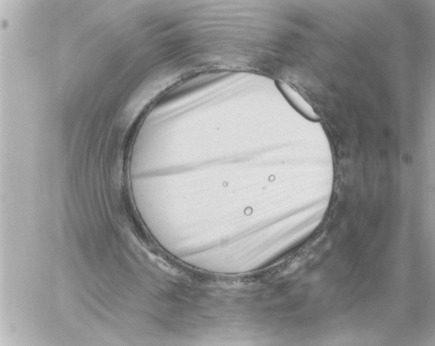 X0000059060194200511041737