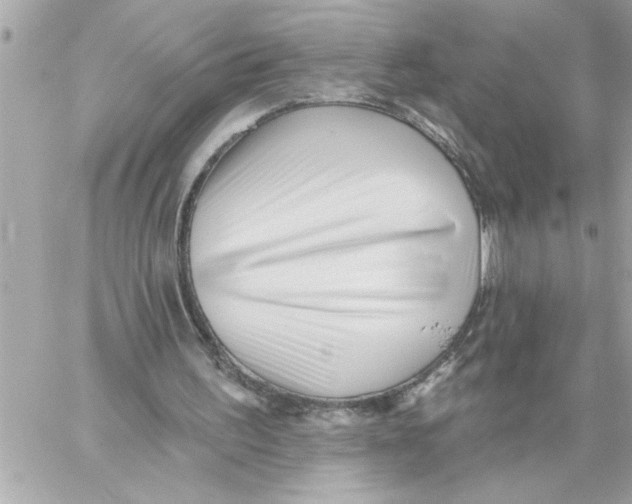 X0000059060195200511041737