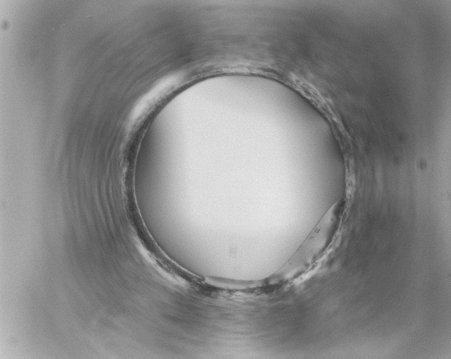 X0000059060197200511041737