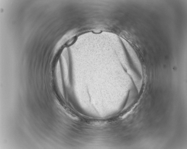 X0000059060198200511041737