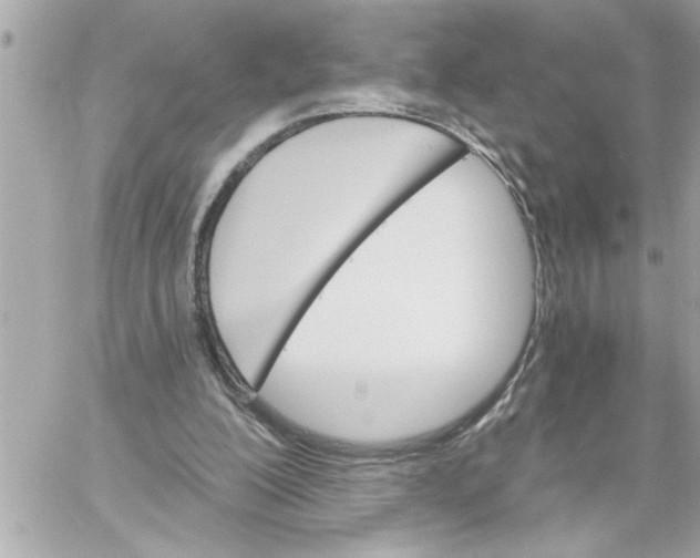 X0000059060200200511041737