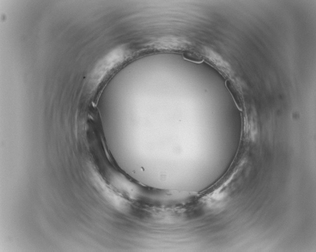 X0000059060201200511041737