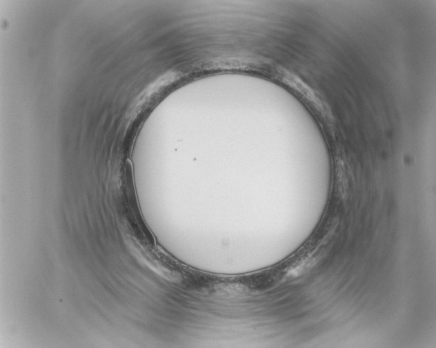 X0000059060203200511041737