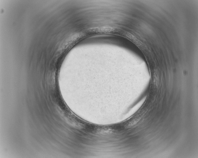 X0000059060206200511041737