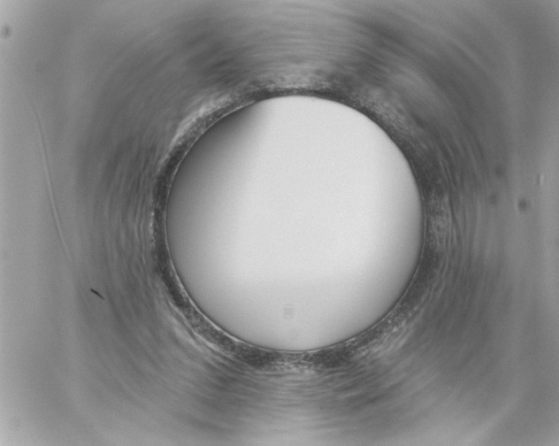 X0000059060207200511041737