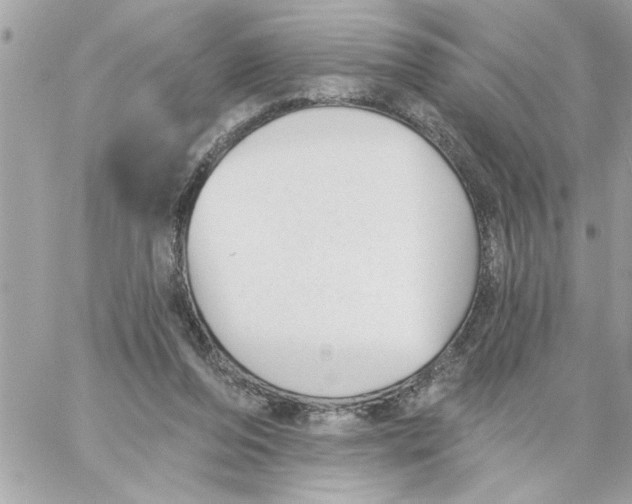 X0000059060208200511041737