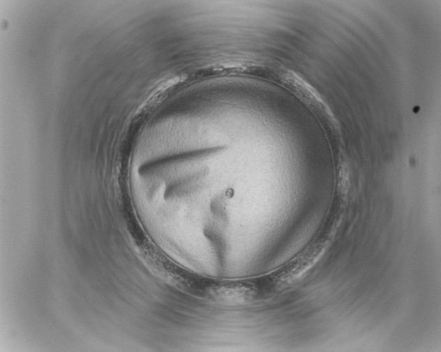 X0000059060209200511041737