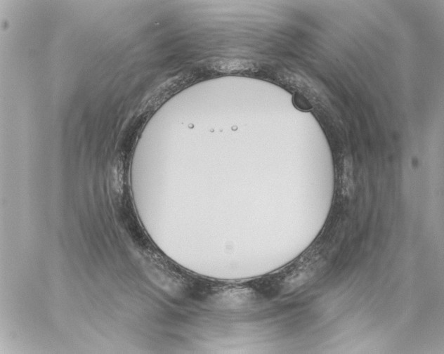 X0000059060210200511041737