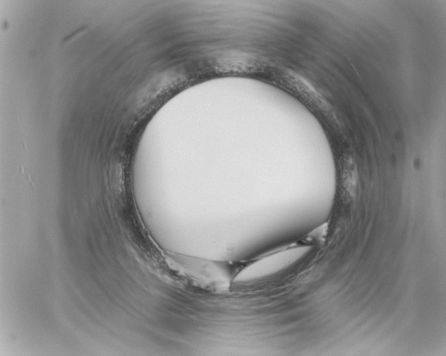 X0000059060211200511041737