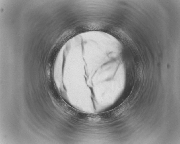 X0000059060214200511041737