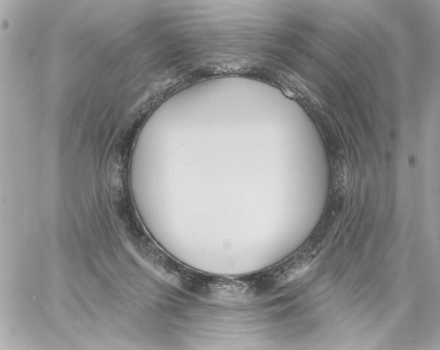 X0000059060215200511041737