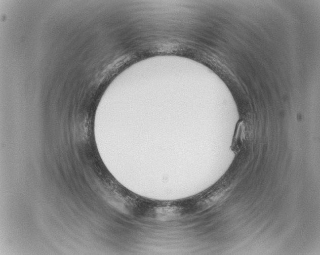 X0000059060216200511041737