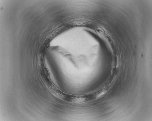 X0000059060217200511041737