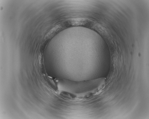 X0000059060219200511041737