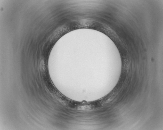 X0000059060220200511041737