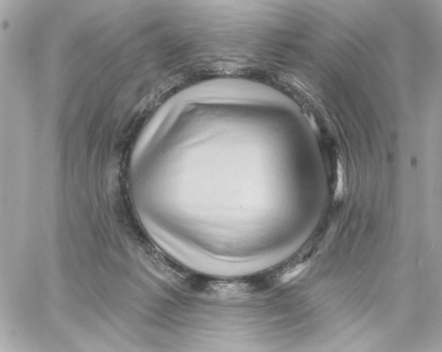 X0000059060221200511041737