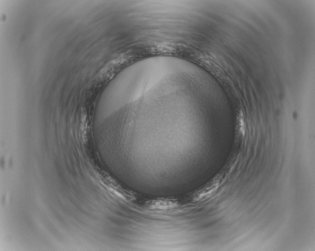 X0000059060223200511041737