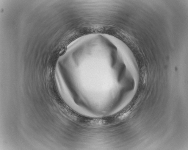 X0000059060225200511041737