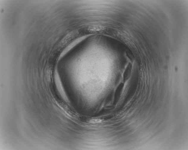 X0000059060227200511041737