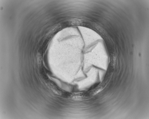 X0000059060228200511041737