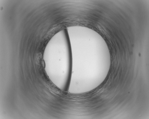 X0000059060229200511041737