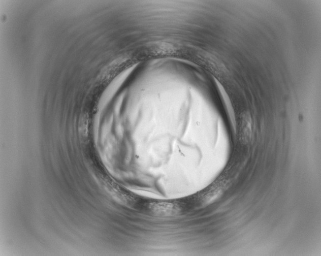 X0000059060230200511041737