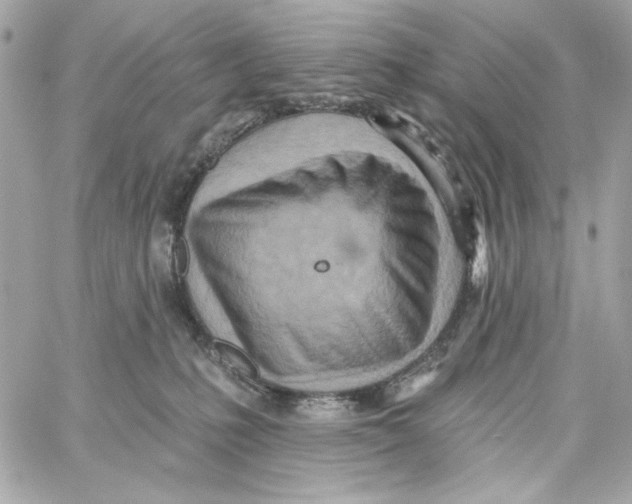 X0000059060231200511041737