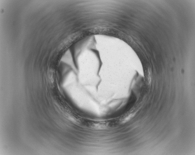 X0000059060232200511041737