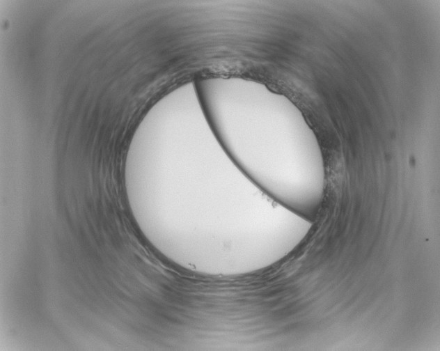 X0000059060233200511041737