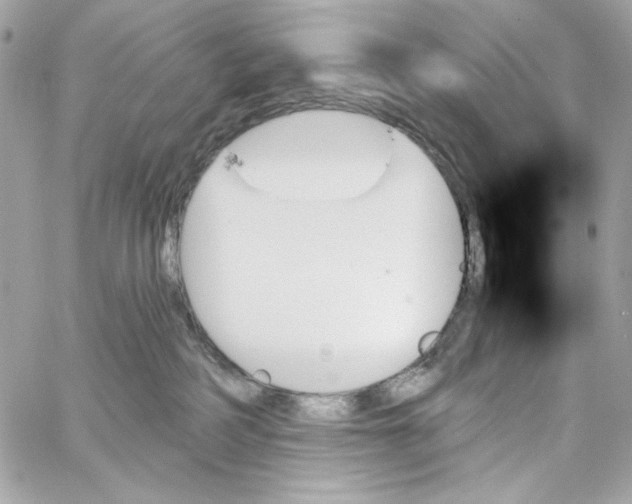 X0000059060234200511041737