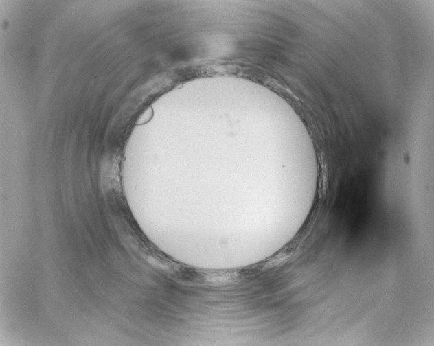 X0000059060236200511041737