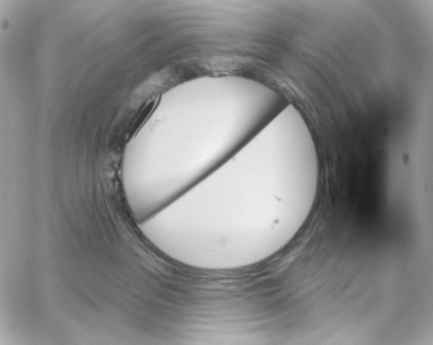 X0000059060237200511041737