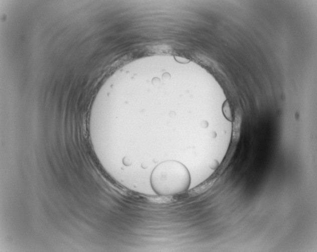 X0000059060238200511041737