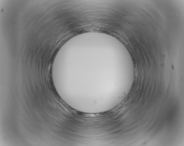 X0000059060239200511041737