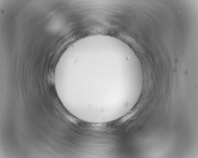 X0000059060240200511041737