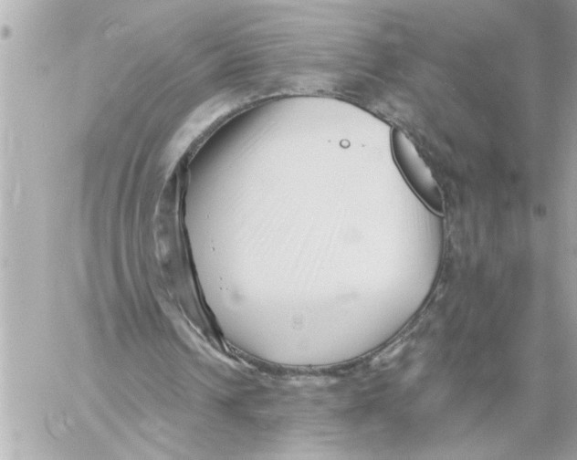 X0000059060242200511041736